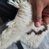 Wool Long Pile